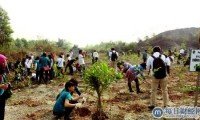 回报大自然 – 松下已在全球植树超过330万棵