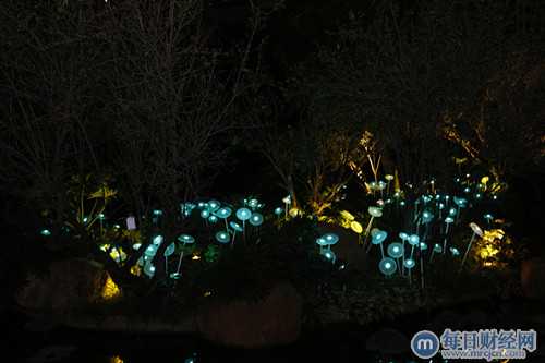 星河湾点亮广州:9月19日,星河湾环球灯光艺术节炫丽开幕