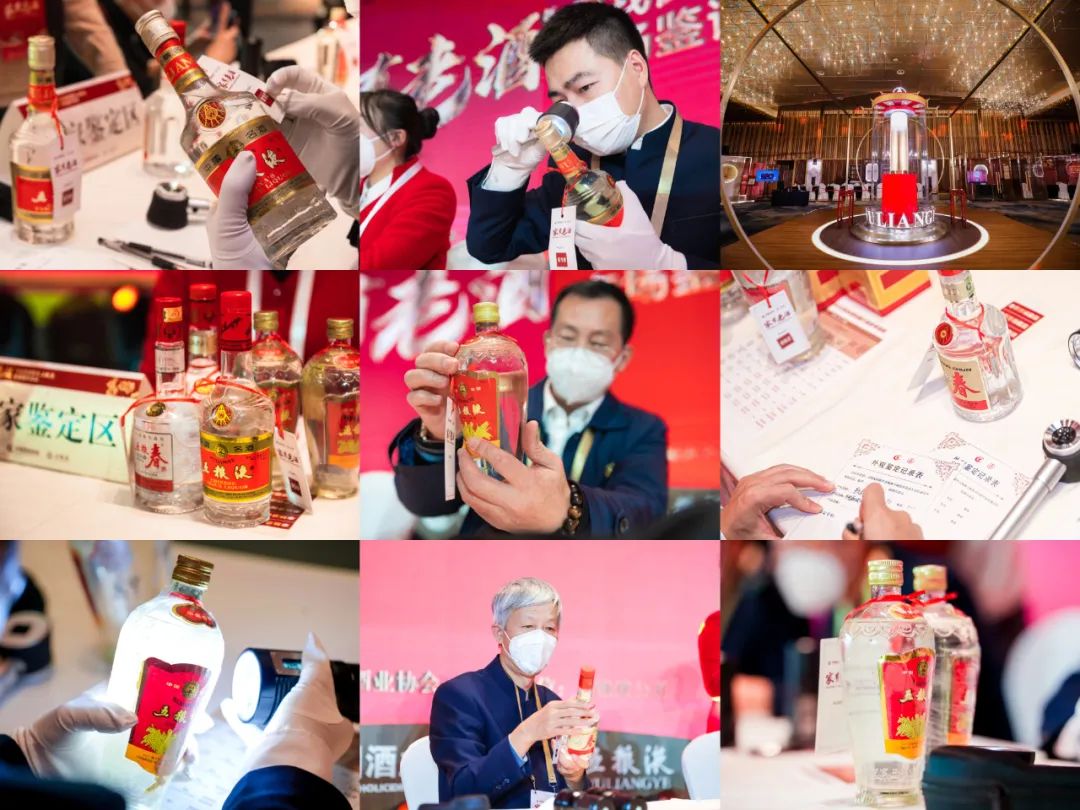 白酒外观鉴定专家进行现场鉴评