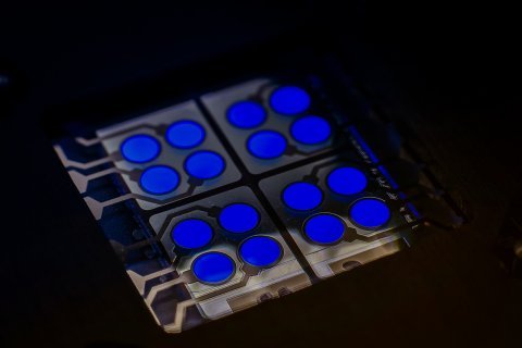 CYNORA推出可大幅提高OLED器件效率的荧光蓝色发射器