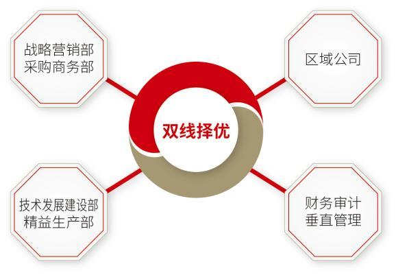 自动草稿