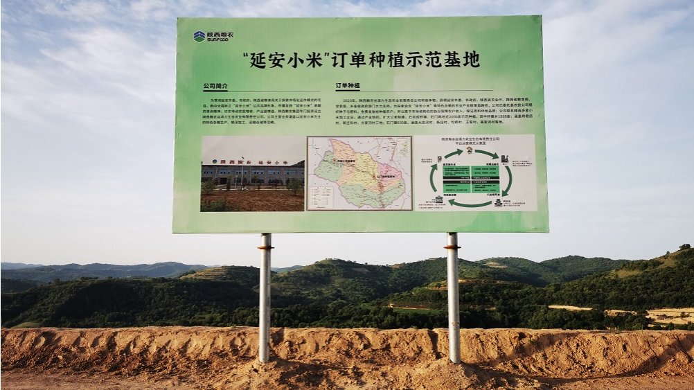以订单种植示范带头，为“延安小米”产业延链增值