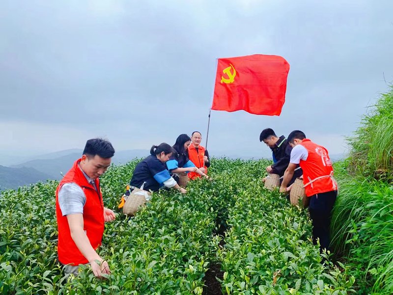 深耕普惠金融 建设和美乡村——邮储银行榕江县支行助力县域经济发展纪实 深耕普惠金融 建设和美乡村——邮储银行榕江县支行助力县域经济发展纪实