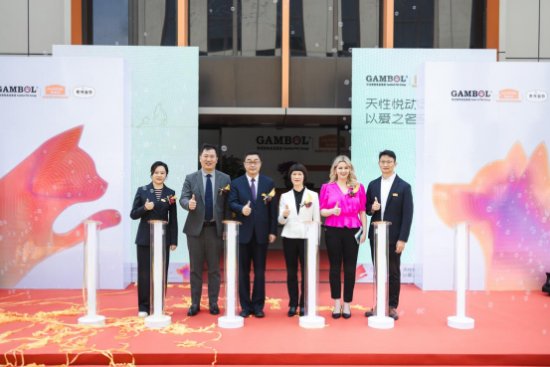 麦富迪突出重围的秘密——多核驱动的研发生态