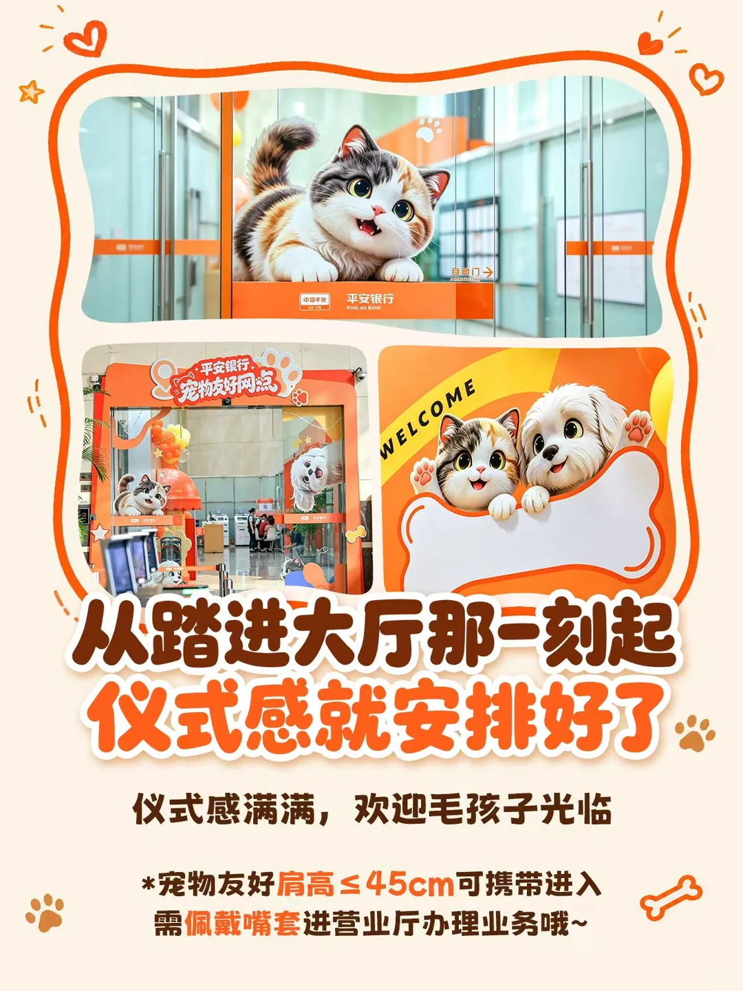平安银行信用卡爱宠卡保障福利加码，哪家信用卡优惠活动多